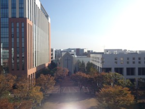金沢八景キャンパスの様子（2013.11.17撮影）